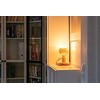 Segula LED Floating Globe 125 dymny pilka E27 6W 1900K dimm