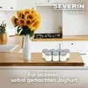 Severin stiklainiai, skirti Severin jogurto gamintojui - EG3513