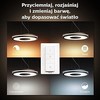Pakabinamas šviestuvas Pakabinama lempa Philips Hue Juoda 1x39W 24V