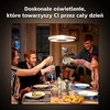 Pakabinamas šviestuvas Pakabinama lempa Philips Hue Juoda 1x39W 24V