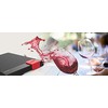 Kietasis diskas Silicon Power Diamond D30 2000 GB, 2.5 ", USB 3.1, Juodas