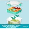 SISTEMA Salot To Go 1,1 l (21356)