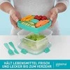 SISTEMA Salot To Go 1,1 l (21356)