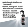SONAX Vaškas purškiams Profiline SpeedProtect, 1L 288405