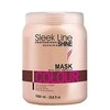 Stapiz Sleek Line Color plaukų kaukė