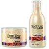 Šampūnas skirtas dažytiems plaukams Stapiz Sleek Line Colour 300ml