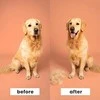 Pet Teezer, De-Shedding - Dog Grooming, Pet , Mėlyna