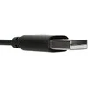 TARGUS WIRED STEREO Ausinės
