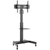 Laikiklis TECHLY vežimėlio grindų atrama su lentyna LCD televizoriumi / LED 32–65 colių 35 kg