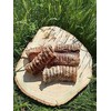 Skanėstas šunims SmartBones Beef Bones, 0.158 kg, 2 vnt.