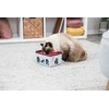 Trixie Cat Activity Rod Box, lavinantis žaislas, skirtas katėms, 20 x 12 x 16 cm