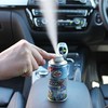 Automobilių kondicionierių valiklis Turtle Wax, 100 ml