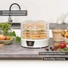 FIRSTAUSTRIA TZS First Austria Food DehydratOr, 380W Max, 5 Round Layer, Digital Timer+Temp FA-5126-8