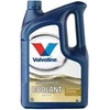 Aušinimo skystis MULTIVEHICLE COOLANT 50/50 paruoštas 5L, Valvoline