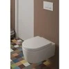 Villeroy & Boch WC mygtukas Villeroy&Boch 300 baltas 92216168