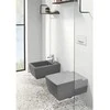 Villeroy & Boch WC mygtukas Villeroy&Boch 300 baltas 92216168