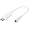 USB adapteris – Vivanco USB-C į 3,5 mm adapteris 45389 10 cm