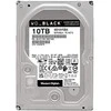 Sandisk WD Juodas 10TB