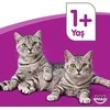 Whiskas Cat Adult su Tunu ir Daržovėmis 14kg