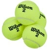 WILSON CHAMPIONSHIP (4) teniso kamuoliukai