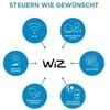 WiZ - G95 Clear Globe E27 Tunable Filament - Smart Home