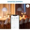 WiZ - G95 Clear Globe E27 Tunable Filament - Smart Home