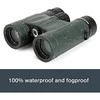 Žiūronai Celestron 71331