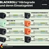 BLACKROLL Standard 45 masažo volas