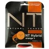 Stygos tenisui Dunlop NT HYBRID Oranžinis 1.31/1.27mm Juodas/Oranžinis