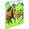 „Herma Folder A4“ (7140)
