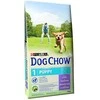 Purina DOG CHOW Puppy su ėriena 14kg