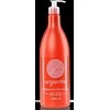 Stapiz Argan De Moist &amp; Care Šampūnas Plaukų šampūnas 1000ml