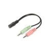 ASSMANN 3,5 mm 4 kontaktų M iki 2 x 3,5 mm 3 kontaktų F GARSO adapteris 0,2 m, AK-510301-002-S