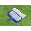 Bestway 58660 „Flowclear AquaRake“ baseino lapų rinktuvas