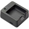 Ricoh battery charger BJ-11