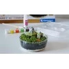 Clementoni Kūrybos rinkinys Harry Potter Hagrids Hut Terrarium