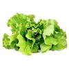 Click And Grow Click &amp; Grow Click &amp; Grow Smart Garden pildomas salotos 3vnt