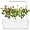 Click &amp; Grow sėklos išmaniajam vazonui - Raudonieji aštrieji čili pipirai (SGR52x3) 3vnt.