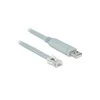 USB adapteris Delock DELOCK USB2.0 / A adapteris St > Seriell RS232 RJ45 St 1.0m žaidimas