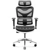Ergonominė kėdė DIABLO V-COMMANDER, Juodos/ Baltos spalvos