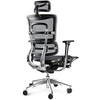 Ergonominė žaidimų/biuro kėdė Diablo V-Master, Juoda-pilka