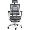 Ergonominė žaidimų/biuro kėdė Diablo V-Master, Juoda-pilka