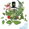 Diptyque Eau De Minthe EDP Purškiklis 75 ml