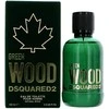Kvepalai vyrams Dsquared2 Green Wood Pour Homme EDT, 100 ml