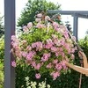Gardena Ilgakotis purkštuvas kabantiems gėlių krepšeliams laistyti „GARDENA Comfort“