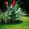 Gardena Vejos pakraščių juosta (žalia)