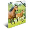 „Herma Folder A4“ (7140)