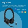 Kensington H1000 USB-C ant ausų dedamos ausinės