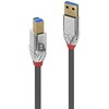 USB kabelis Lindy USB-A - USB-B 5 m juoda (JAB-4327169)