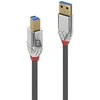USB kabelis Lindy USB-A - USB-B 5 m juoda (JAB-4327169)